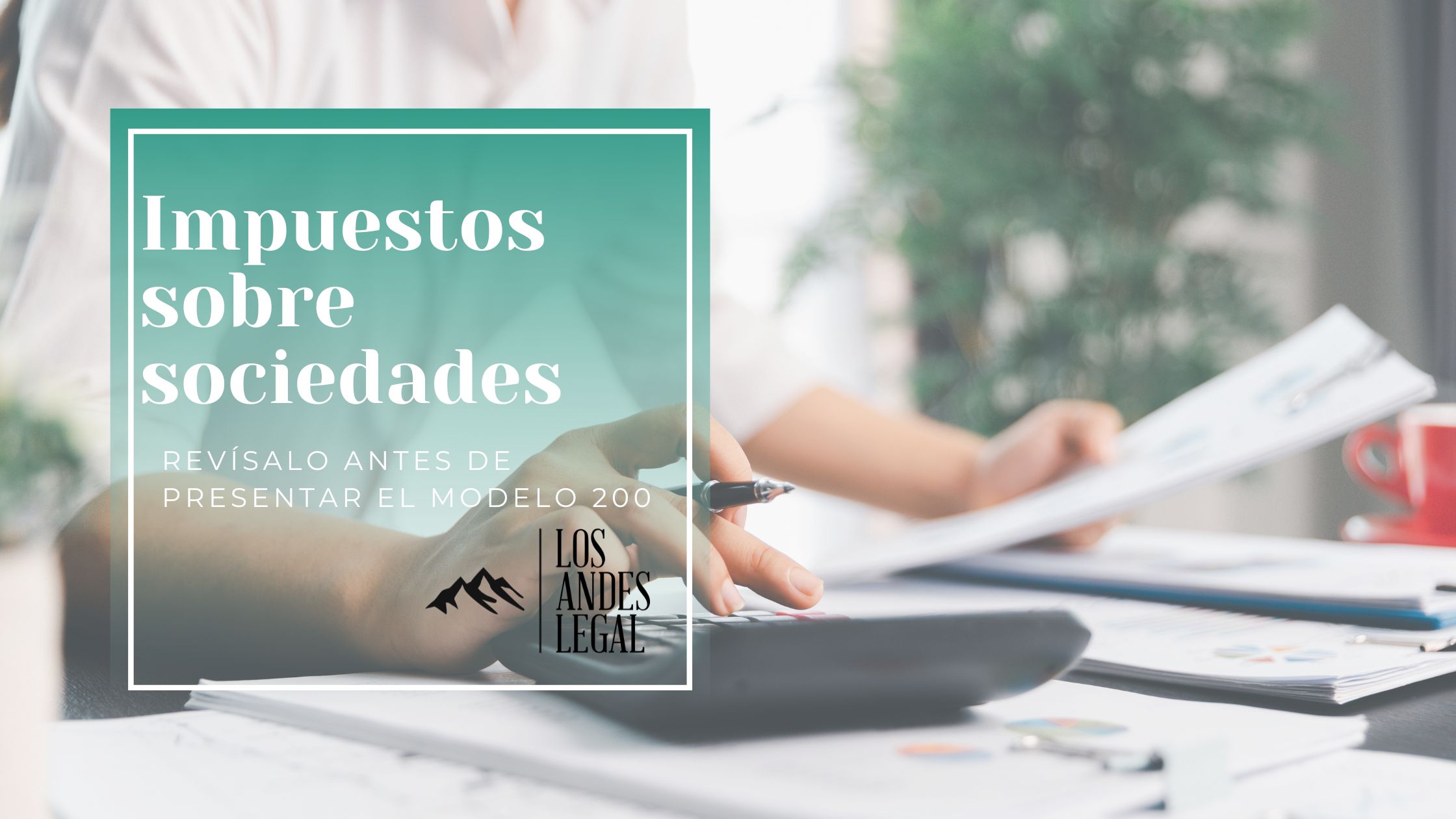 impuesto sociedades